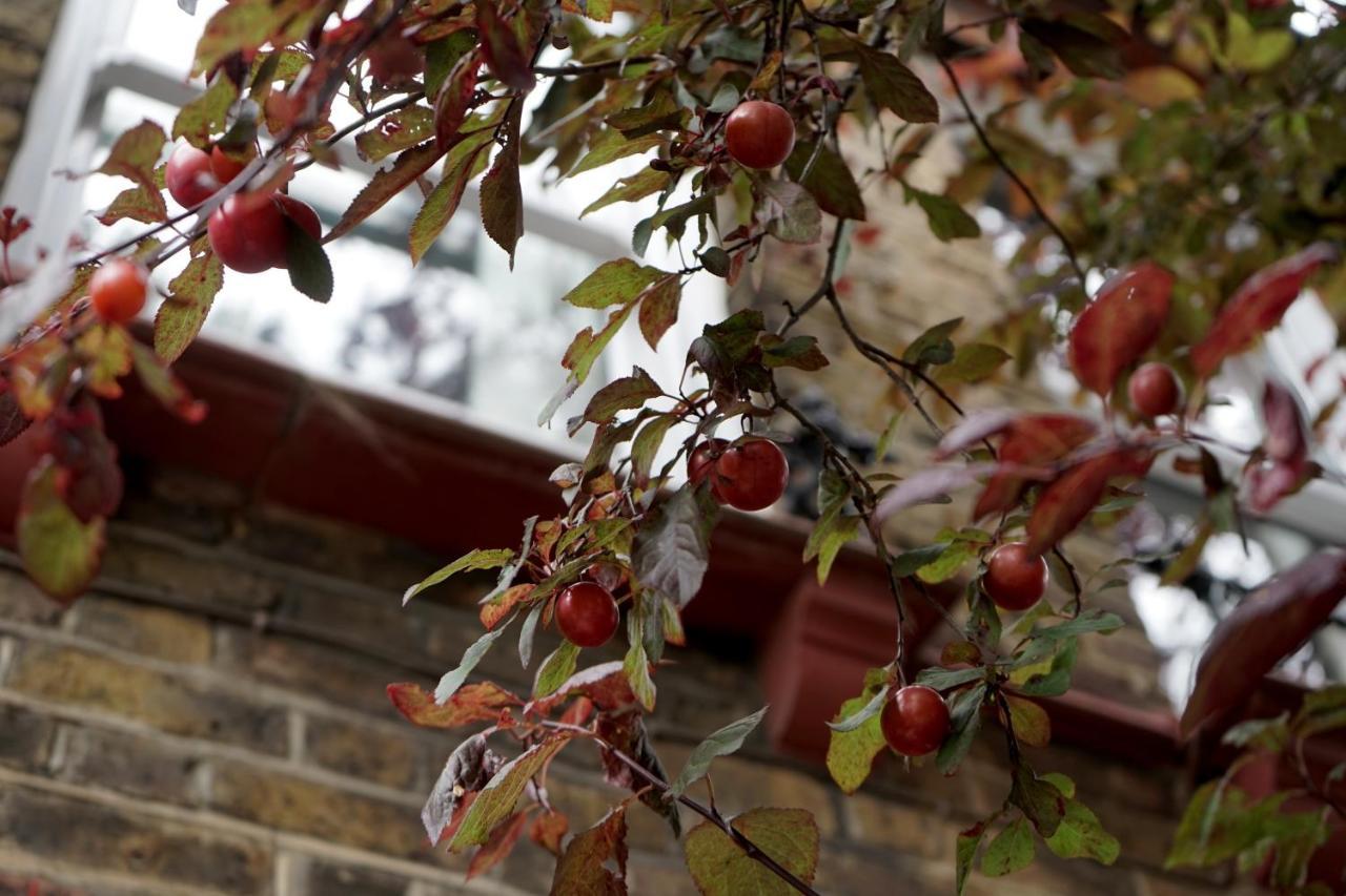 Luxury London Garden Home Sleep 7, 2 Mins To Metro Εξωτερικό φωτογραφία